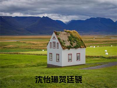 沈怡琳贺廷骁（沈怡琳贺廷骁）全文免费阅读无弹窗大结局_（沈怡琳贺廷骁）最新章节列表笔趣阁