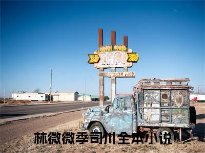 林微微季司川（林微微季司川）全文免费阅读无弹窗大结局_林微微季司川小说最新章节列表笔趣阁（林微微季司川）