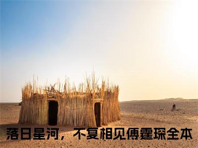 精选好书落日星河，不复相见傅霆琛无弹窗免费阅读-（落日星河，不复相见傅霆琛）完整版全文在线赏析