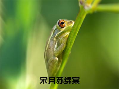 宋月苏绵棠的小说(宋月苏绵棠)最新章节全文免费阅读_笔趣阁