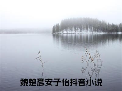 魏楚彦安子怡小说最新章节（魏楚彦安子怡）全文免费阅读无弹窗大结局_魏楚彦安子怡免费阅读（魏楚彦安子怡小说）