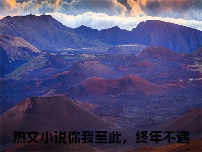 司止渊苏婉（你我至此，终年不遇）全网首发最新小说-主角你我至此，终年不遇全文在线免费阅读