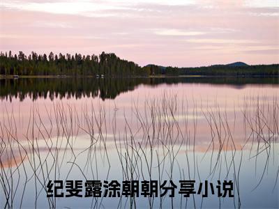 纪斐露涂朝朝小说全文（纪斐露涂朝朝）-纪斐露涂朝朝免费阅读目录
