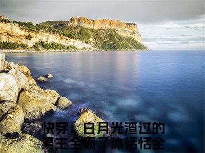 快穿：白月光渣过的男主全疯了沐恬恬(快穿：白月光渣过的男主全疯了沐恬恬小说）全文免费阅读无弹窗大结局_ 快穿：白月光渣过的男主全疯了沐恬恬小说快穿：白月光渣过的男主全疯了沐恬恬最新章节列表_笔趣阁（快穿：白月光渣过的男主全疯了沐恬恬）