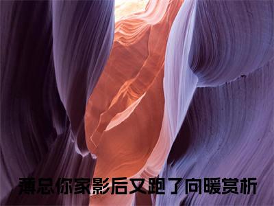 薄总你家影后又跑了向暖小说_薄总你家影后又跑了向暖全文阅读 薄总你家影后又跑了向暖小说免费阅读笔趣阁