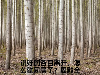 说好的各自离开，怎么就同居了？周默（说好的各自离开，怎么就同居了？周默）全文免费阅读无弹窗大结局_说好的各自离开，怎么就同居了？周默小说最新章节列表笔趣阁（说好的各自离开，怎么就同居了？周默）
