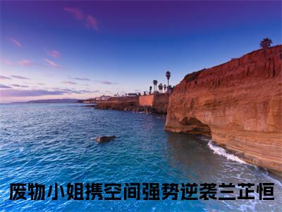 小说废物小姐携空间强势逆袭兰芷恒免费阅读-（废物小姐携空间强势逆袭兰芷恒）全文无弹窗阅读