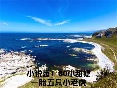 秦埘越安柠（爆！80小甜媳一胎五只小老虎最新全章节大结局）全文阅读-秦埘越安柠爆！80小甜媳一胎五只小老虎在线小说免费阅读