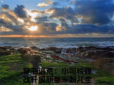 穿书逃荒：小可怜爆改开国新皇宋盼儿（穿书逃荒：小可怜爆改开国新皇宋盼儿）无广告免费阅读-穿书逃荒：小可怜爆改开国新皇宋盼儿小说最后结局如何