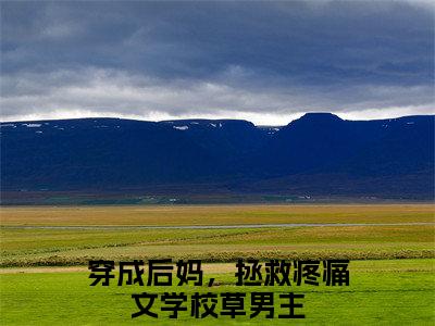 穿成后妈，拯救疼痛文学校草男主全文免费阅读无弹窗-（穿成后妈，拯救疼痛文学校草男主）简厌佟瑞晓小说全文在线阅读笔趣阁