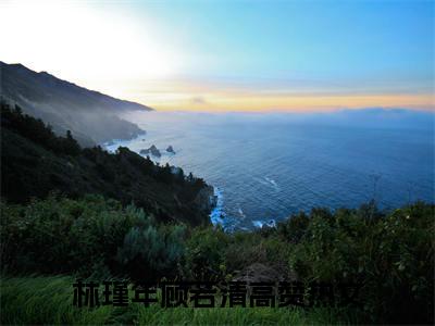 重生高考，他再也不做受气包（林瑾年顾若清）精彩小说-小说林瑾年顾若清全文无删减版免费阅读