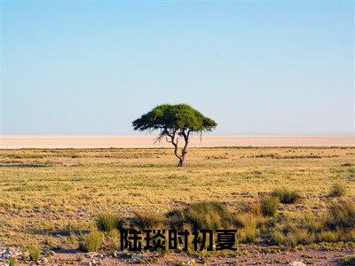 小说(陆琰时初夏)免费阅读-珍藏美文读物陆琰时初夏