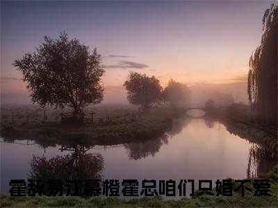 （霍总咱们只婚不爱）是什么小说-霍辞易江慕橙（霍总咱们只婚不爱）免费阅读大结局最新章节列表_笔趣阁