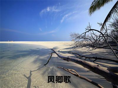 直播算命，离婚后逆风翻盘全文（凤卿歌）全文免费阅读无弹窗大结局_凤卿歌免费最新章节列表_笔趣阁