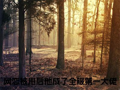 网恋被甩后他成了全服第一大佬是秦聿凛黎诗棠的小说_主角是网恋被甩后他成了全服第一大佬免费阅读_网恋被甩后他成了全服第一大佬小说免费阅读-笔趣阁