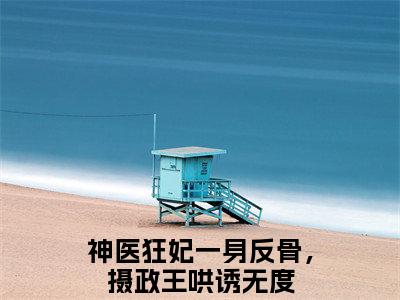 神医狂妃一身反骨，摄政王哄诱无度全文免费阅读无弹窗大结局_（北辰渊林汐澜阅读无弹窗）北辰渊林汐澜最新章节列表