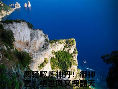 小说凤轻歌全文免费阅读无弹窗大结局_（炼神丹！御神兽！绝世凤女拽翻天）全文在线阅读