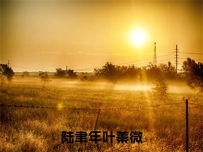 暮色苍茫后离别（暮色苍茫后离别）全文免费阅读无弹窗大结局_陆聿年叶蓁微最新章节列表