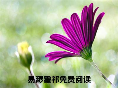 易渺霍祁（分手雨夜：霍总长跪不起？晚了！）免费阅读无弹窗大结局_（分手雨夜：霍总长跪不起？晚了！）易渺霍祁最新章节列表_笔趣阁