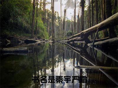 秦宇严霜我一科学家，基地在月球很合理吧全文完整版-我一科学家，基地在月球很合理吧小说在线阅读
