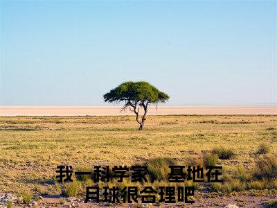 秦宇严霜全文（我一科学家，基地在月球很合理吧）全文免费阅读无弹窗大结局_我一科学家，基地在月球很合理吧免费最新章节列表_笔趣阁