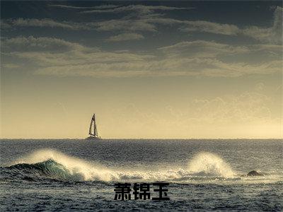 萧锦玉（画医锦华）全文免费阅读无弹窗大结局_萧锦玉免费阅读全文大结局