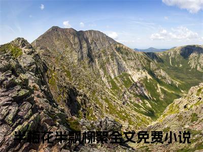 半梅花半飘柳絮小说全文免费阅读_半梅花半飘柳絮（宋明哲楚嫣然）最新章节列表在线阅读