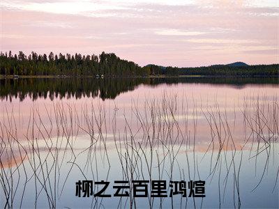 疯批皇帝霸占丞相妻小说（柳之云百里鸿煊）精彩章节-柳之云百里鸿煊全文免费在线阅读
