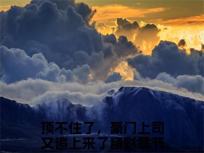 顶不住了，豪门上司又追上来了（谢景珩江柠）全文免费大结局小说-顶不住了，豪门上司又追上来了全文最新章节阅读