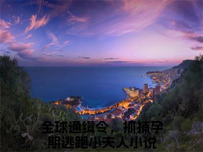 颜鹿时序小说全文免费阅读-全球通缉令，抓捕孕期逃跑小夫人最新章节列表免费阅读