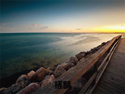 许尽欢周肈南（搓酥）小说全文免费阅读无弹窗_（搓酥全文阅读）许尽欢周肈南免费阅读大结局