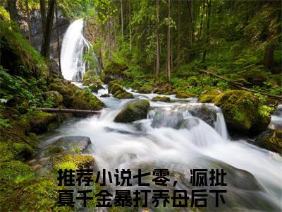 七零，疯批真千金暴打养母后下乡（七零，疯批真千金暴打养母后下乡）全文免费阅读无弹窗_陆振廷苏安小说在线阅读_笔趣阁