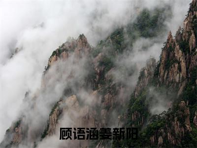 顾语涵姜新阳（故人不曾入梦来）完整版全文在线赏析-顾语涵姜新阳精彩美文摘抄
