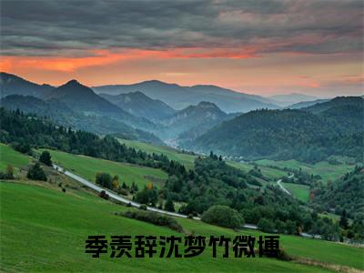 季羡辞沈梦竹小说全文阅读-（季羡辞沈梦竹）小说大结局