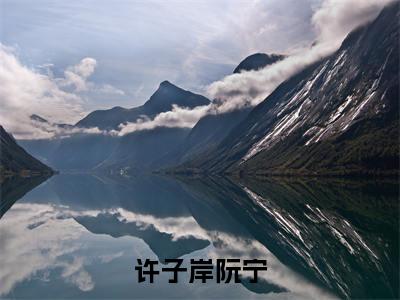 许子岸阮宁小说叫什么名字（许子岸阮宁）完整版大结局-许子岸阮宁小说在线阅读