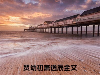 贺幼初萧逸辰(贺幼初萧逸辰)全文免费阅读无弹窗大结局_(贺幼初萧逸辰小说全文大结局)最新章节列表_笔趣阁（贺幼初萧逸辰）