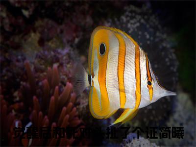 觉醒后和死对头扯了个证简曦（觉醒后和死对头扯了个证简曦全文免费阅读）完结阅读_觉醒后和死对头扯了个证简曦全文免费阅读免费看全文