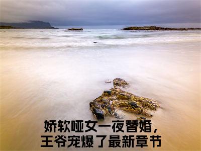 绿袖顾砚（娇软哑女一夜替婚，王爷宠爆了）小说全文免费阅读正版无弹窗_（娇软哑女一夜替婚，王爷宠爆了）免费阅读无弹窗最新章节列表