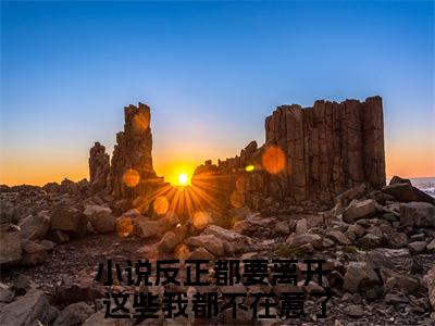 许愿顾北舟（反正都要离开，这些我都不在意了）多人推荐阅读-精选小说（反正都要离开，这些我都不在意了）完整版免费阅读