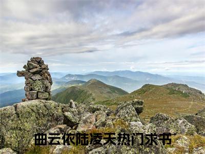 小说（曲云依陆凌天）_曲云依陆凌天全文阅读_曲云依陆凌天免费阅读大结局