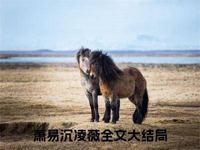 （萧易沉凌薇）全文免费阅读无弹窗大结局_（萧易沉凌薇阅读无弹窗）萧易沉凌薇最新章节列表_笔趣阁（萧易沉凌薇）