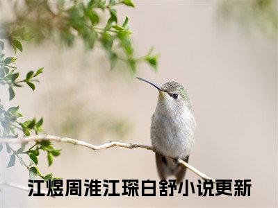 江煜周淮江琛白舒无弹窗热文在线阅读-江煜周淮江琛白舒小说在哪里可以看