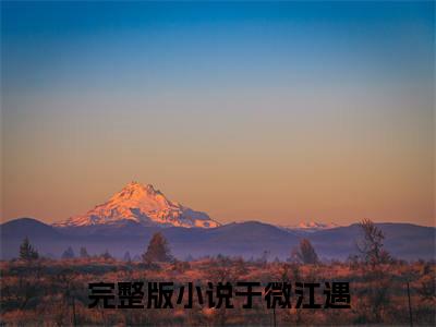 【全文】《爱隔山海不可平》小说txt在线阅读_（爱隔山海不可平全章节）-爱隔山海不可平_于微江遇在线阅读