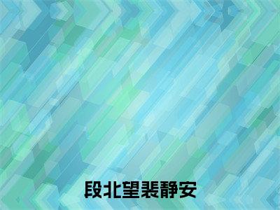 段北望裴静安免费阅读大结局无弹窗-小说推荐段北望裴静安精彩章节在线阅读