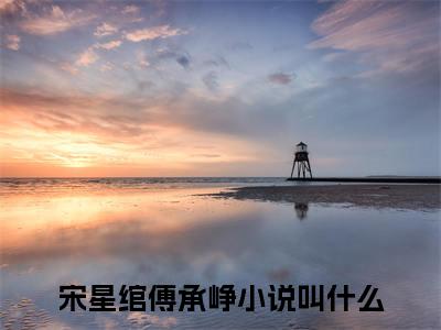 宋星绾傅承峥的小说免费阅读（宋星绾傅承峥小说免费阅读）全文免费阅读大结局-宋星绾傅承峥热门榜单好书推荐