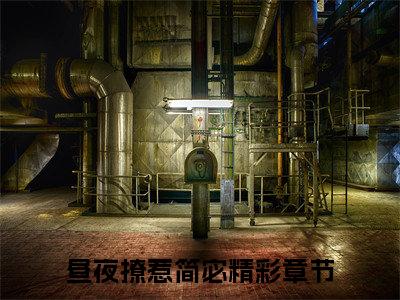 昼夜撩惹简宓大结局全文免费阅读最新章节_昼夜撩惹简宓大结局