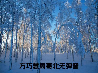 方巧慧周寄北（方巧慧周寄北）全文免费阅读无弹窗大结局_方巧慧周寄北免费阅读无弹窗