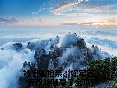 被闺蜜抢亲，嫁军官怀双胎躺赢了（陆观山虞梨最新全章节大结局）全文阅读-被闺蜜抢亲，嫁军官怀双胎躺赢了陆观山虞梨在线小说免费阅读