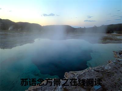 苏语念方景之小说（苏语念方景之）全文免费阅读无弹窗苏语念方景之全文免费阅读无弹窗最新章节列表_笔趣阁