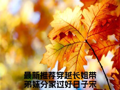 穿越长姐带弟妹分家过好日子宋小满小说全文在线赏析-最火热点小说最新更新